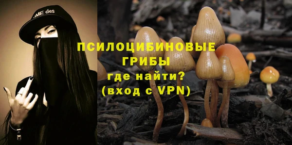 a pvp Абдулино