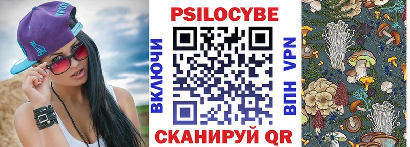 Галлюциногенные грибы мицелий закладки OMG маркетплейс Кедровый